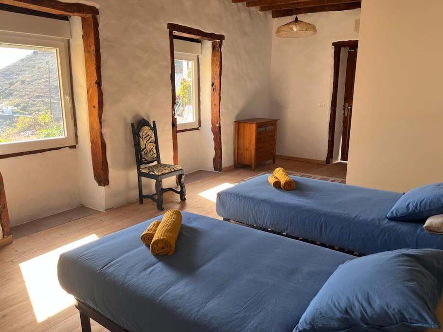 La Casa Del Aguacate Sabinosa